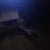 nedclark803 - @nedclark803 - TikTok