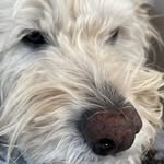 Ned Greene - @ned.greene.984 - Instagram