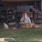Ned Hayes - @hayes_ned - Instagram