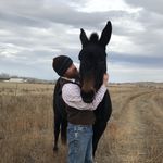 Ned Hayes - @hayes_ned80 - Instagram