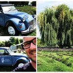 Ned Hayes - @nedhayes64 - Instagram