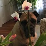 Heather - @heathnedkona - Instagram