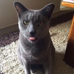 Ned Hunter - @kelly.hunter75 - Instagram