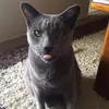nedhunter867 - @nedhunter867 - TikTok
