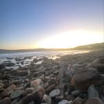 Ned - @ned_jacksonnn - Instagram