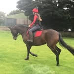 🐴delilah🐴 - @lilly.ned - Instagram