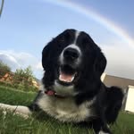 Ned - @ned_loves_attention - Instagram