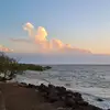 Ned Marks - @murray.marks - TikTok