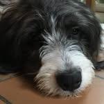 Ned Morris - @mad_dog_traveller - Instagram