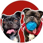 Richard Nixon & Jackie Kennedy Buggnasis - @nixon.kennedy.thebuggs - Instagram
