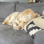 Ned Price - @ned.price - Instagram