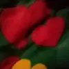 pedro - @nedreid - TikTok