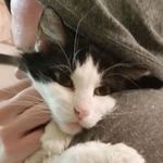 Ned Richardson - @ned.richardson - Instagram