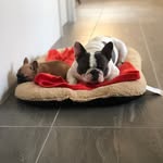 Louis & Ned Sanders - @louis_and_ned - Instagram