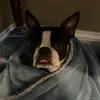 ned_sanders - @ned_sanders - TikTok