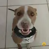 Crownned Schneider - @crownnedschneider - TikTok