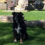 Ned Scott - @ned.earl - Instagram