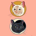 Ned & Snow - @nednsnow - Instagram