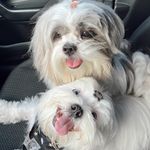 𝐍𝐄𝐃 • 𝐒𝐍𝐎𝐖 𝐁𝐈𝐓𝐄𝐍𝐂𝐎𝐔𝐑𝐓 - @nedsthzu - Instagram