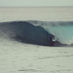 Ned Snow - @nedsnow - Instagram