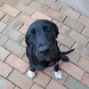 nedsutherland1306 - @nedsutherland0 - TikTok