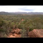 Ned Wallis - @hgondwana - Instagram