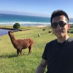 Ned Wang - @ned.wang - Instagram