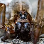 Ned Witham - @nedwithamphoto - Instagram