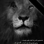 Neda Ahmad Afzali - Facebook