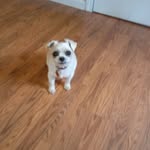 Nedra Snow - @addiesong60 - Instagram