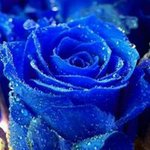 Neelam Jethwani - @jethwanineelam - Instagram