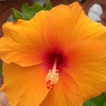Neelam Dave - @neelamdave46 - Instagram