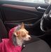 Nala Harper - Facebook