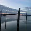 lorimcneelywalker - @lorimcneelywalker - TikTok