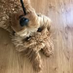 Neen Murphy - @neenandmurphy - Instagram