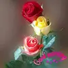 Neer Gupta - @neergupta8 - TikTok
