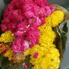neerGupta - @neergupta51 - TikTok