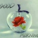 Neeraj Bindal - @bindal.n - Instagram