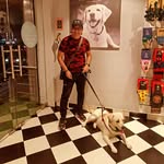 Neeraj Chugh - @chughneeraj - Instagram
