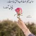 Negin F Rahimi - Facebook