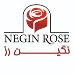 @neginrose.co - Instagram