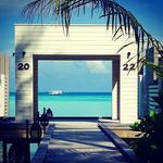 negin saatchi - @alok109357 - Instagram