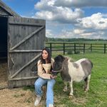 negin saatchi - @negin_saatchi.691547 - Instagram