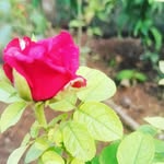 Anil chinni - @anilkumar__neha - Instagram