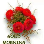 Neha Bailey - Facebook