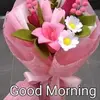 Nehabindal92 - @nehabinal92 - TikTok