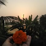 Neha/Chatterjee - @your.neha810 - Instagram