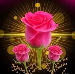 Neha James - Facebook
