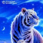 Neha Java - Facebook