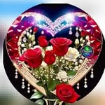 Nehal Khan - @nehal________khan - Instagram